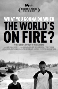 What You Gonna Do When The World's On Fire? (2018)
