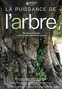 La Puissance de l’arbre avec Ernst Zürcher (2020)