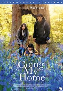 Going my Home - Episodes 8 et 9 (2020)